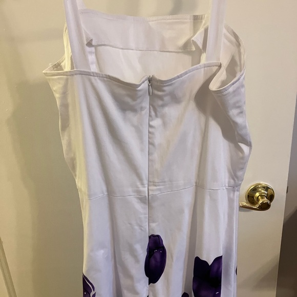 APNY - Picture 3 of 4